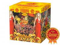 Красивая жизнь Фейерверк купить в Москве | salutsklad.ru