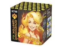 С огоньком! Фейерверк купить в Москве | salutsklad.ru