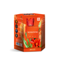 Тюльпаны Салют купить в Москве | salutsklad.ru